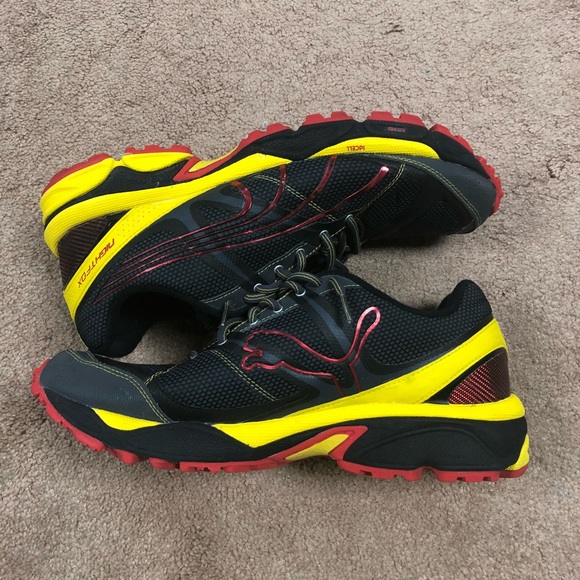 puma nightfox